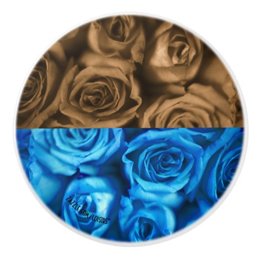 Rozen Keramische romp Keramische Knop (Voorkant)