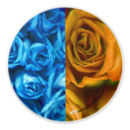 Rozen Keramische romp Knop