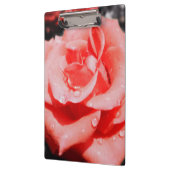  Rozen Klembord (Links)