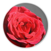 Rozen knop (Voorkant)