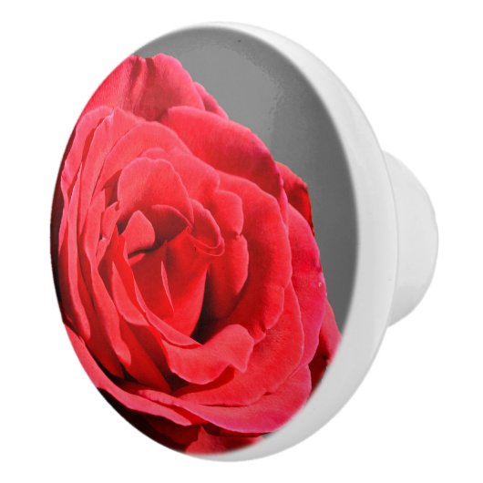 Rozen knop (Rechts)