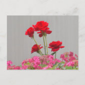 Rozen knoppen die uitbarsten van Hydrangea Lace Pe Briefkaart (Voorkant)