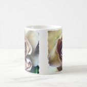 ROZEN KOFFIEMOK (Center)