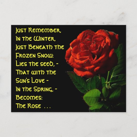 Rozen komen... briefkaart (Voorkant)
