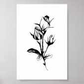 Rozen lijntekenkunst | Schets van inkt van rosebud Poster (Voorkant)