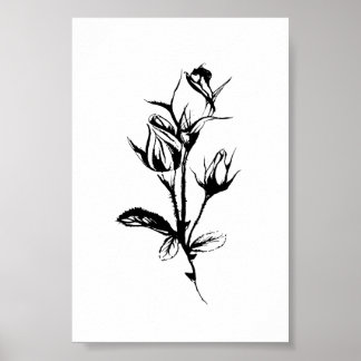 Rozen lijntekenkunst | Schets van inkt van rosebud Poster
