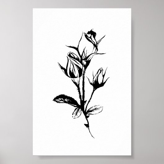 Rozen lijntekenkunst | Schets van inkt van rosebud Poster (Voorkant)