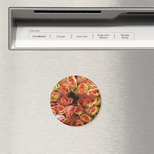 ROZEN MAGNEET (Insitu (Vaatwasser))