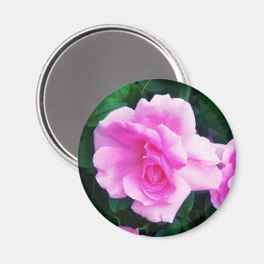 ROZEN MAGNEET (Voorkant / Achterkant)