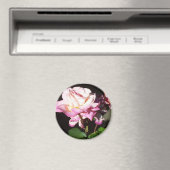 Rozen Magneet (Insitu (Vaatwasser))