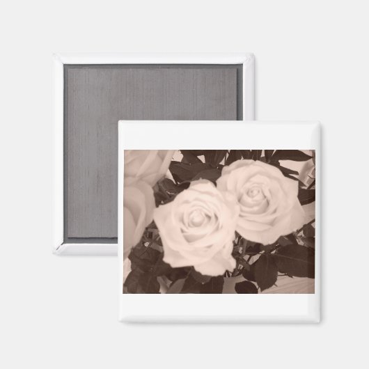 Rozen Magneet (Voorkant / Achterkant)