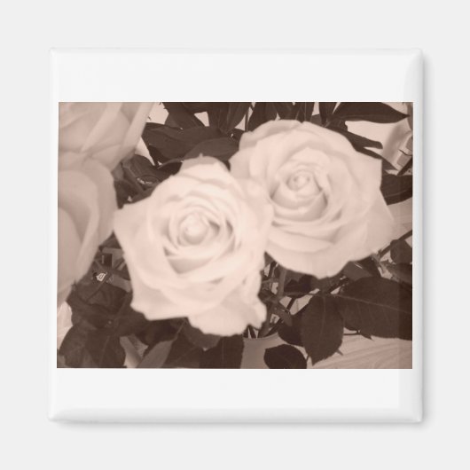 Rozen Magneet (Voorkant)