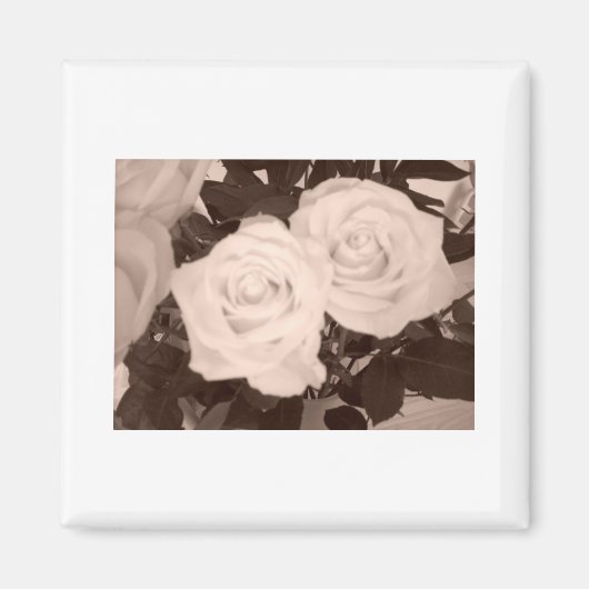 Rozen Magneet (Voorkant)