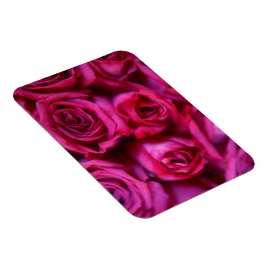 Rozen Magneet (Rechterzijde)