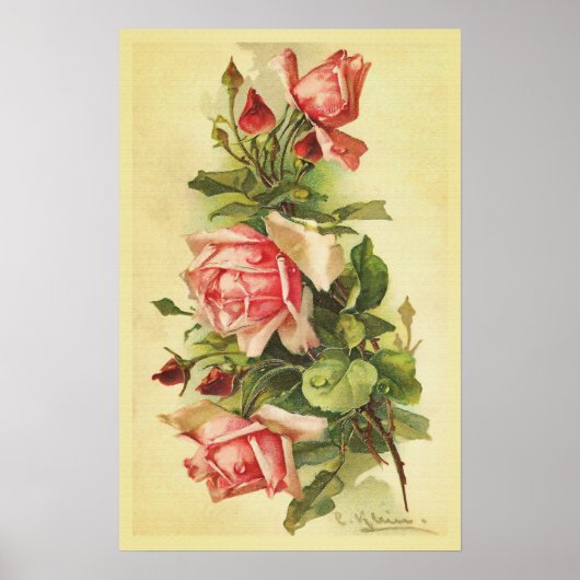  Rozen met het Poster van de Druppels van Dew (Voorkant)