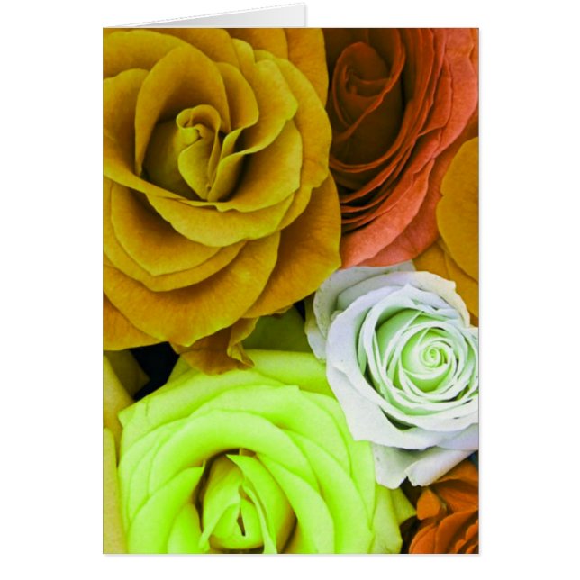 Rozen met kleur (Voorkant)