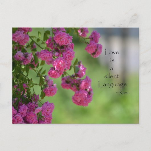 Rozen met Love Quote Briefkaart (Voorkant)