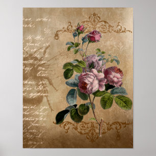  Rozen met Manuscript. Poster