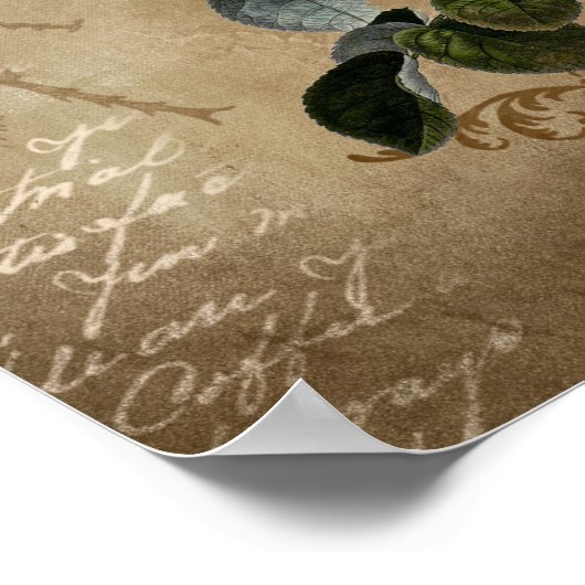 Rozen met script. Poster (Hoek)