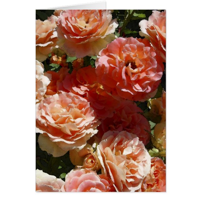 Rozen met zonlicht (Voorkant)