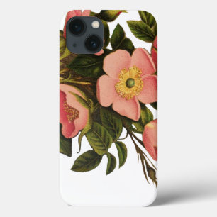  Rozen Mooi Roze Botanisch iPhone 13 Hoesje