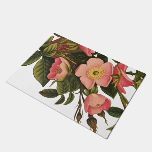 Rozen Mooi Roze Botanisch Deurmat (Schuin)