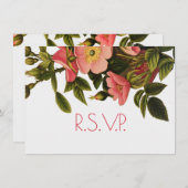 Rozen Mooi Roze Botanisch Kaart (Voorkant / Achterkant)