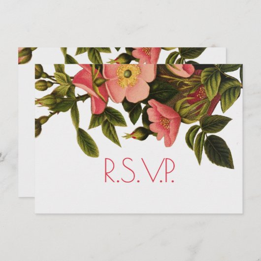 Rozen Mooi Roze Botanisch Kaart (Voorkant / Achterkant)