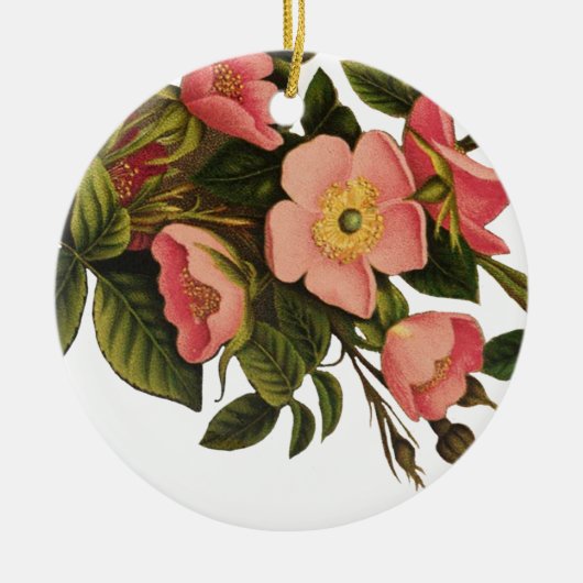  Rozen Mooi Roze Botanisch Keramisch Ornament (Voorkant)