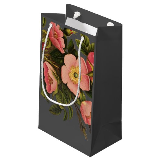  Rozen Mooi Roze Botanisch Klein Cadeauzakje (Achterkant Gekanteld)