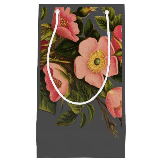  Rozen Mooi Roze Botanisch Klein Cadeauzakje (Voorkant)