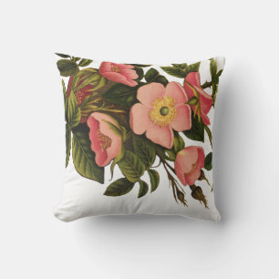 Rozen Mooi Roze Botanisch Kussen