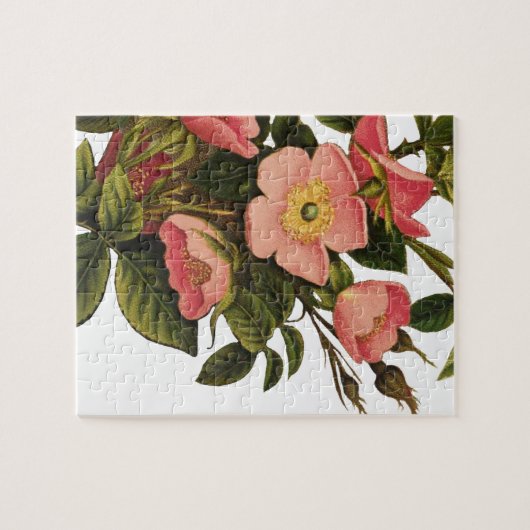Rozen Mooi Roze Botanisch Legpuzzel (Horizontaal)