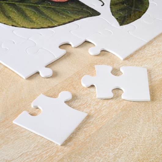 Rozen Mooi Roze Botanisch Legpuzzel (Zijkant)