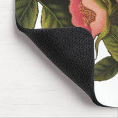 Rozen Mooi Roze Botanisch Muismat (Hoek)