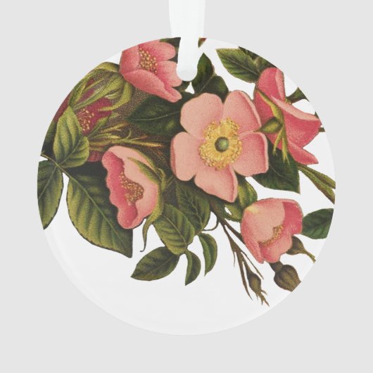  Rozen Mooi Roze Botanisch Ornament (achterkant)