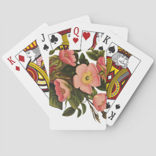 Rozen Mooi Roze Botanisch Pokerkaarten
