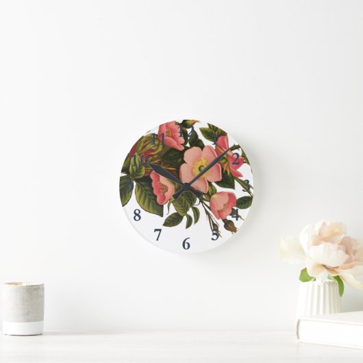 Rozen Mooi Roze Botanisch Ronde Klok (Huis)