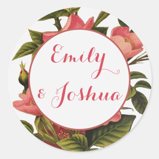  Rozen Mooi Roze Botanisch Ronde Sticker (Voorkant)