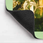 Rozen Muismat (Hoek)