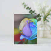 Rozen Natuur Landschappen Gefeliciteerd Glimlach Briefkaart (Staand voorkant)