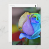 Rozen Natuur Landschappen Gefeliciteerd Glimlach Briefkaart (Voorkant / Achterkant)