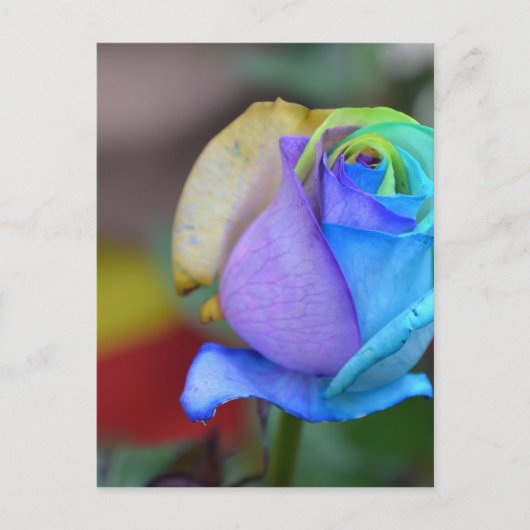 Rozen Natuur Landschappen Gefeliciteerd Glimlach Briefkaart (Voorkant)