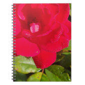 Rozen Notitieboek (Voorkant)
