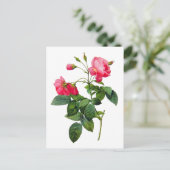 Rozen omleiden briefkaart (Staand voorkant)