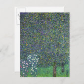 Rozen onder de bomen, c.1905 briefkaart (Voorkant / Achterkant)