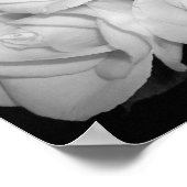Rozen op Canvas Poster (Hoek)