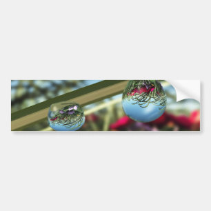 Rozen op de Bumpersticker Raindrops