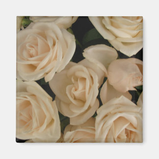 Rozen op de koelkast magneet