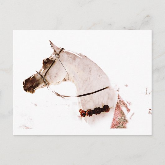 Rozen op een grijs briefkaart (Voorkant)